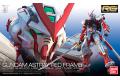 BANDAI 5061618 1/144 RG#19 紅色異端鋼彈 MBF-P02 Gundam A...