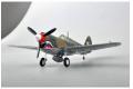 EASY MODEL 39313 1/48 蒐藏完成精品系列--美國.陸軍 P-40M'小鷹'戰鬥機/中國1945年塗裝