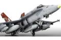 ACADEMY 12118 1/32 美國.陸戰隊 F/A-18D'大黃蜂'戰鬥教練機/AW-242中隊/限量生產