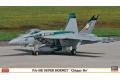 HASEGAWA 01971 1/72 美國.海軍 F-18E'超級大黃蜂'戰鬥機/2011年CHI...