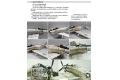 cmp-536860 戰機模型塗裝技術指南 / 簡體中文譯本