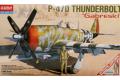 ACADEMY 12222 1/48 WW II美國.陸軍 P-47D'雷霆'戰鬥機/GABRESK...