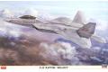 HASEGAWA 07467 1/48 美國.空軍 F-22'猛禽'匿蹤戰鬥機/限量生產/量產1號機...