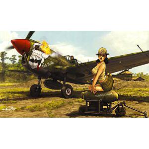 EDUARD 11104 1/32 WW II美國.陸軍 P-40N'戰鷹'戰鬥機