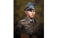 MJ MINIATURES MJ09-010 1/9 WW II德國.空軍 空戰英雄--埃里希.哈特曼 ERICH HARTMANN