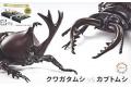 FUJIMI 170893 1/1 自由研究系列--#025EX-1 獨角仙&鍬型蟲/金黃色特別式樣...