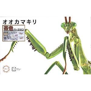 FUJIMI 170978 自由研究系列.生物篇--#023.EX-1 大刀螳螂/褐色(免膠水黏合) BIG MANTIS