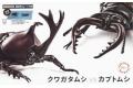 FUJIMI 170862 1/1 自由研究系列--#025 獨角仙&鍬型蟲 BEETLE vs S...