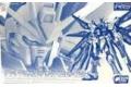 魂商店限定--BANDAI 5061039 1/144 RG版--ZGMFXA攻擊自由鋼彈(鈦合金電鍍色) STRIKE GUNDAM (TITANIUM FINISH)