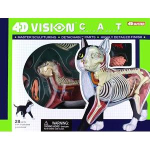 AOSHIMA 103593 4D視覺--動物#29 解剖貓隻/塗裝完成品