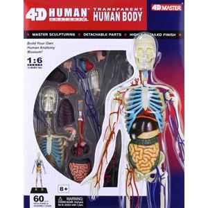 AOSHIMA 104828  4D視覺--人體#20 人體全身解剖/塗裝完成品
