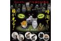 SHING 269331 螢光貓眼的聚會 FLUORESCENT' EYES CAT GET TOGETHER