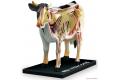 AOSHIMA 078198 4D視覺--動物#03 解剖牛隻/塗裝完成品