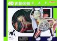 AOSHIMA 103593 4D視覺--動物#29 解剖貓隻/塗裝完成品