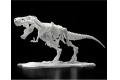BANDAI LIMEX骨骼 恐龍組裝模型 暴龍