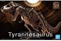 BANDAI 5061800 假想骨骼 1/32 模型 暴龍類 Imaginary Skeleton Tyrannosaurus