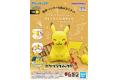 BANDAI 5065701 Pokemon PLAMO 精靈寶可夢神奇寶貝 收藏集快組版#16 皮...