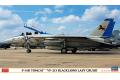 HASEGAWA 02406 1/72 美國海軍 F-14D Tomcat `VF-213 Blac...